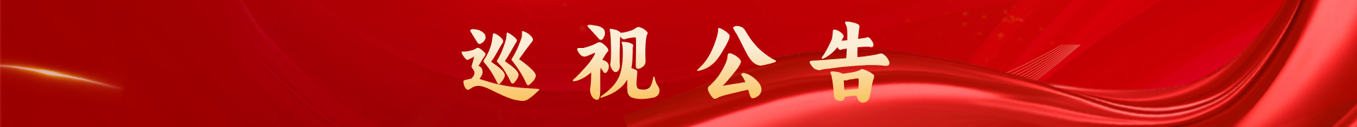 巡视公告