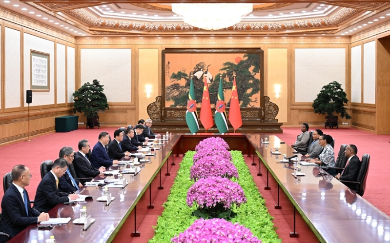 习近平会见多米尼克总统伯顿2.jpg